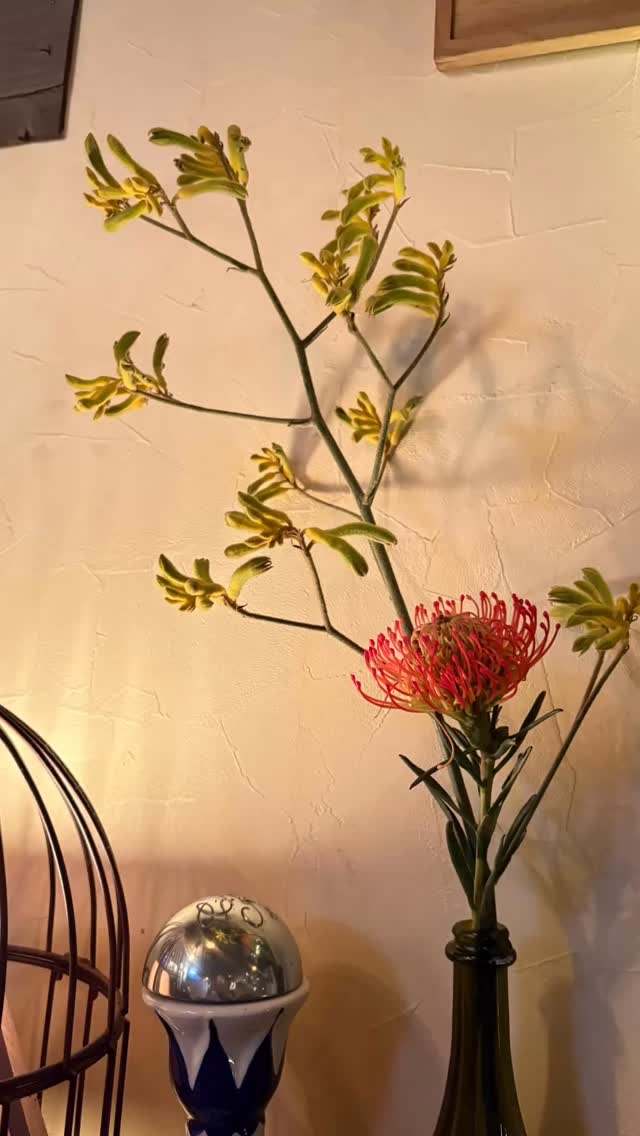 BAR FOLIAGE の店内 10