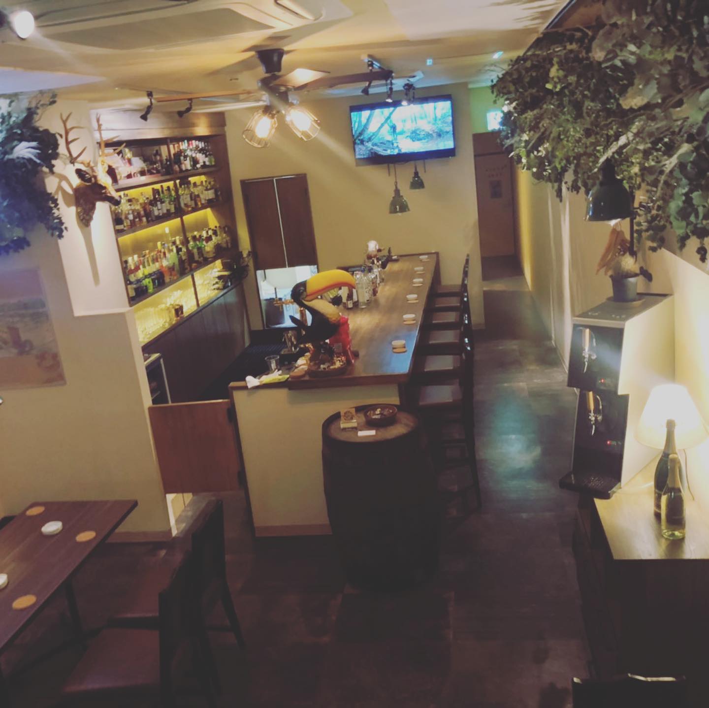 BAR FOLIAGE の店内 26